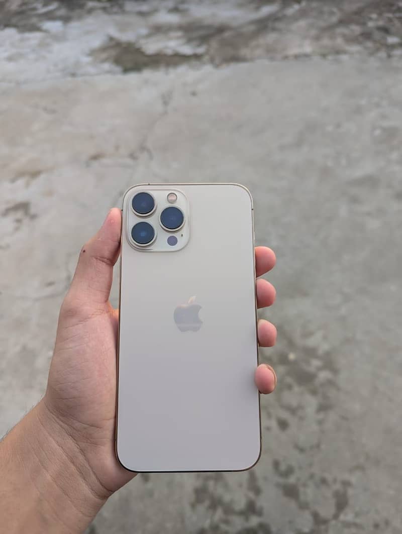 Apple iPhone 13 Pro Max 3