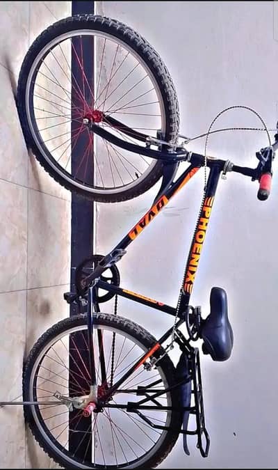 Phoenix Bicycle