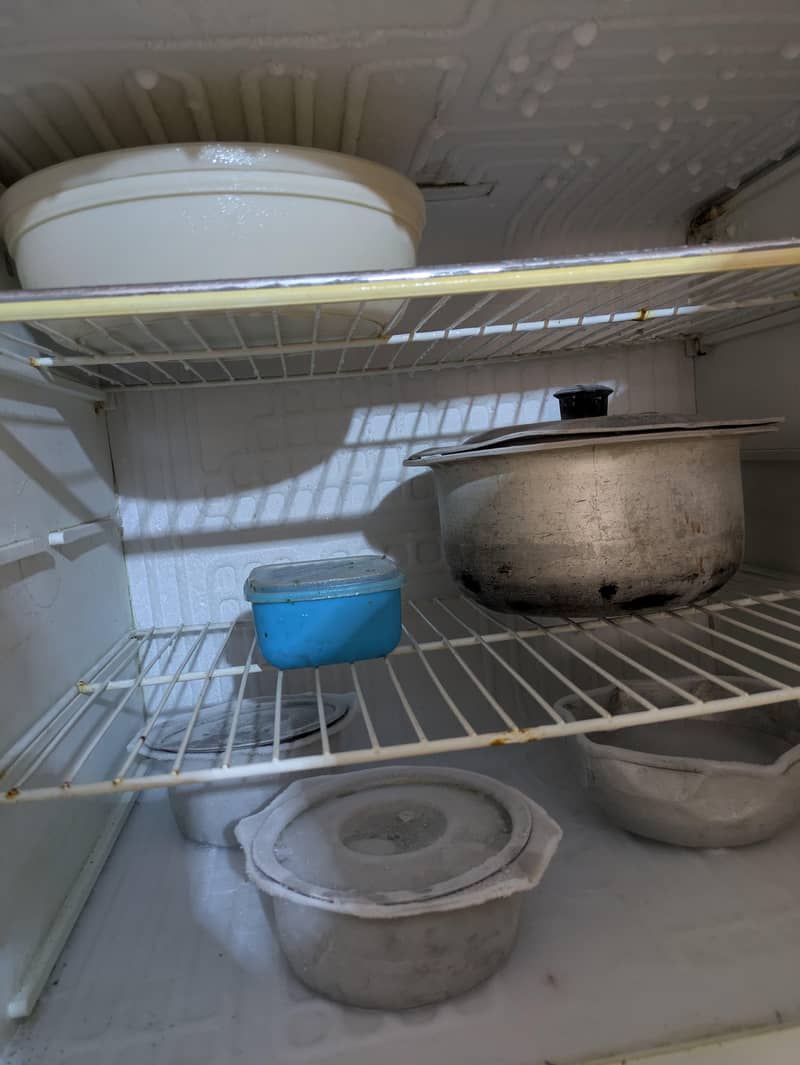Fridge 2