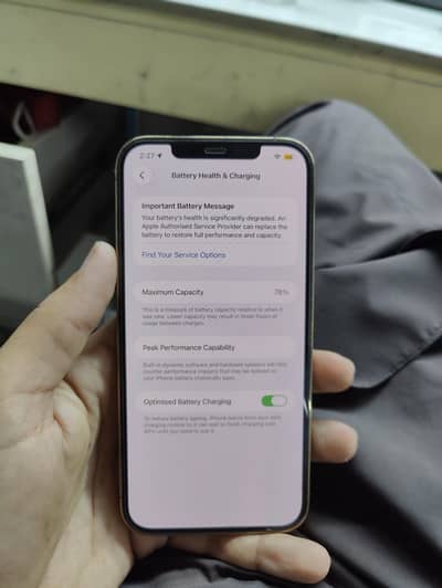 Apple iPhone 12 Pro Max