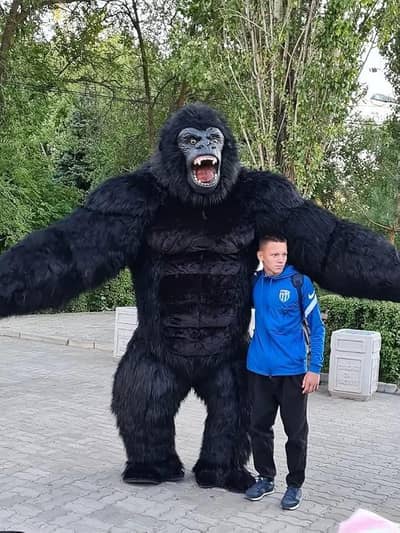 Gorilla costume in 3 size