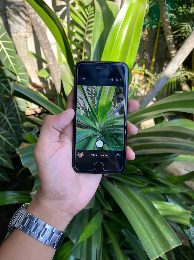 Apple iPhone SE 5