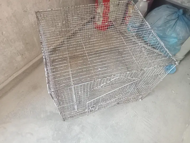 2 Cages — photo 2