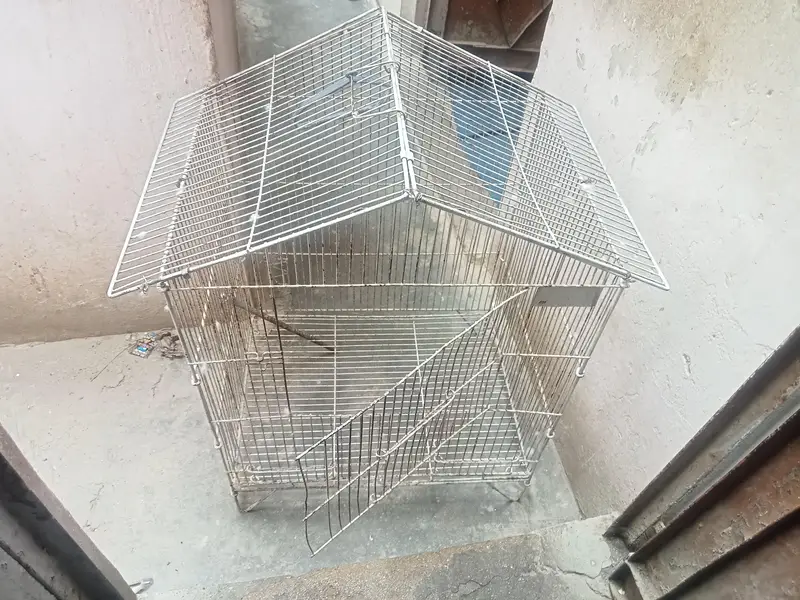 2 Cages — photo 4