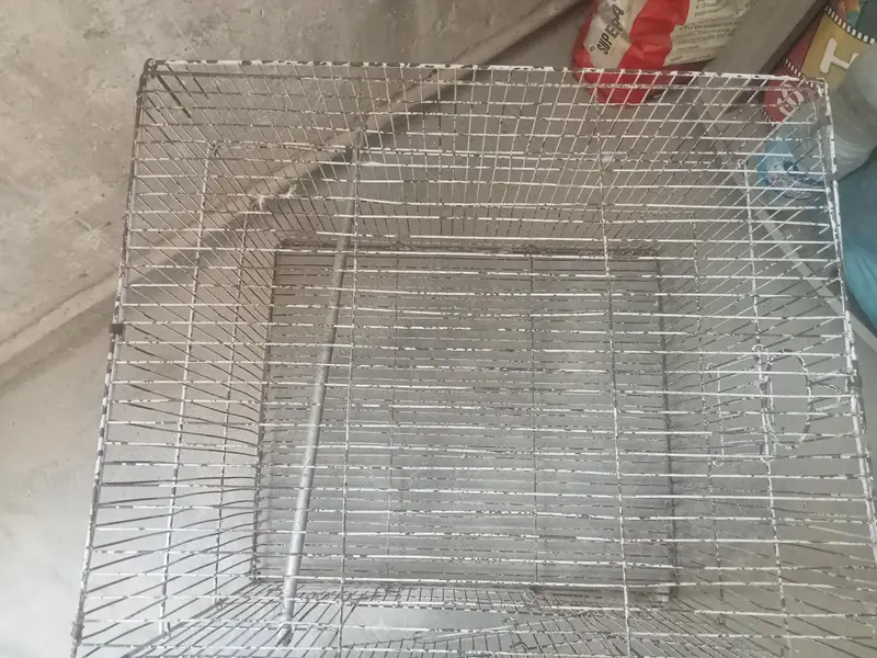 2 Cages — photo 5
