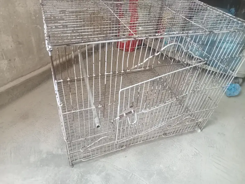 2 Cages — photo 6