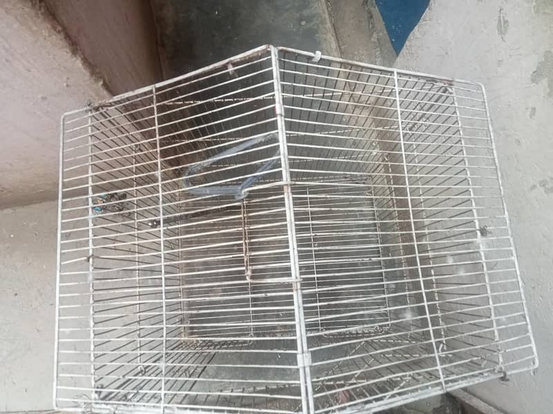 2 Cages 6