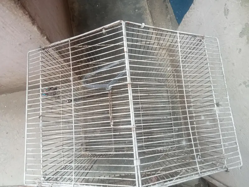 2 Cages — photo 7