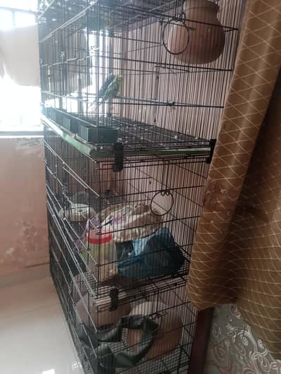 8 portion Cage