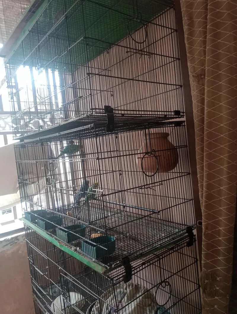 8 portion Cage — photo 2