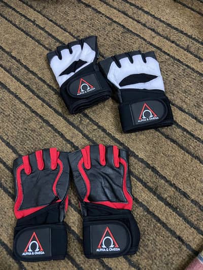 Gym Gloves alpha and omega