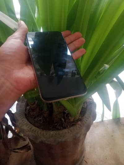 Apple iPhone X