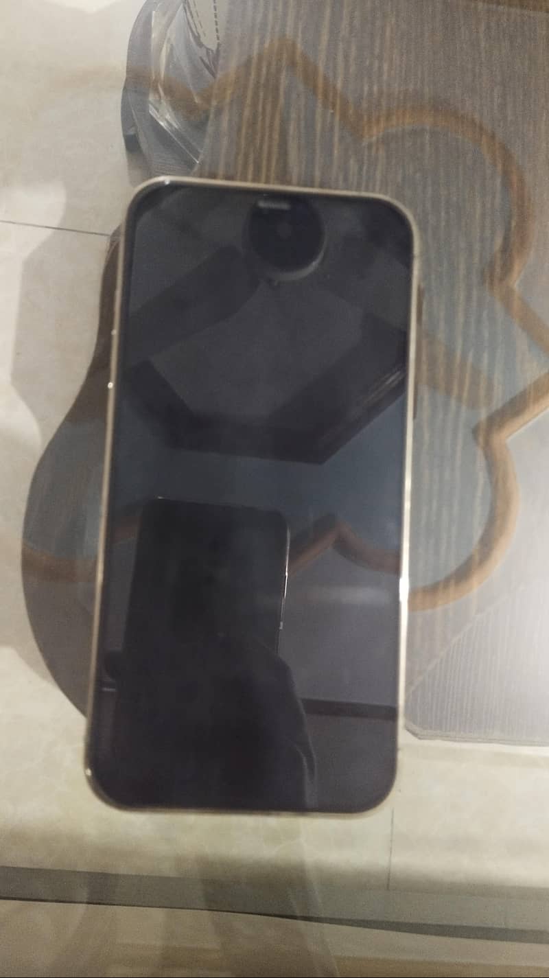 Apple iPhone 12 Pro Max 1
