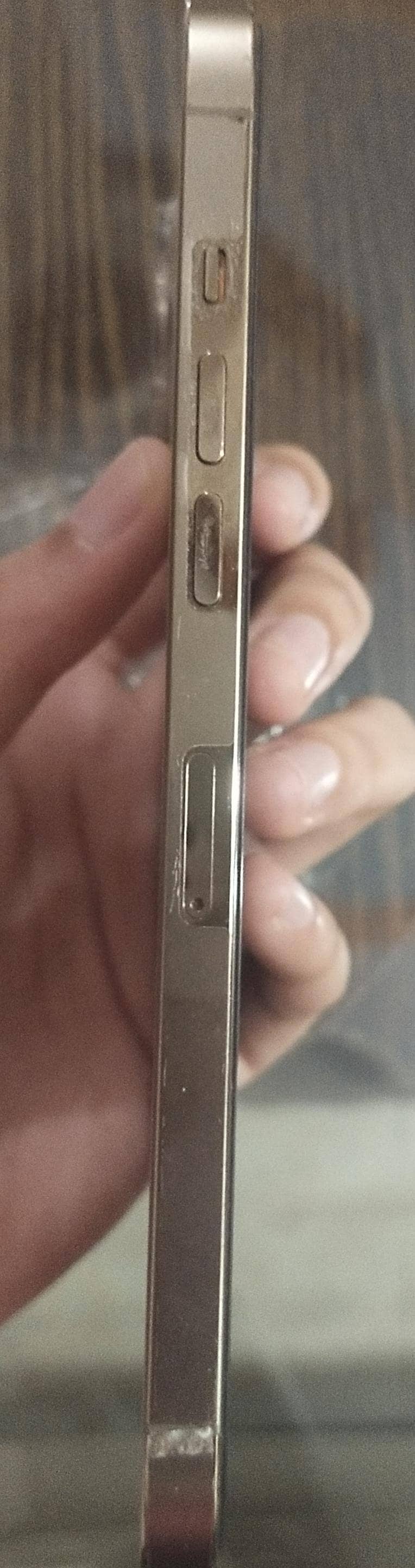Apple iPhone 12 Pro Max 2