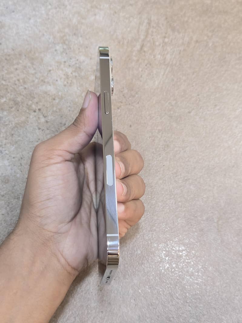 Apple iPhone 12promax 6