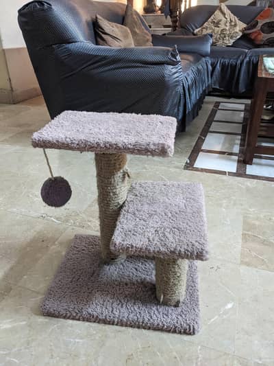 Cat tree, two litter box, feeding box,