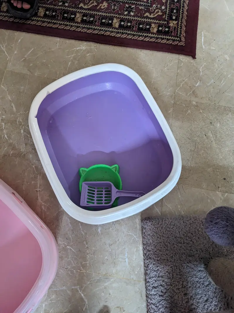 Cat tree, two litter box, feeding box, — photo 3