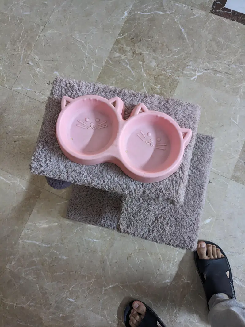 Cat tree, two litter box, feeding box, — photo 4