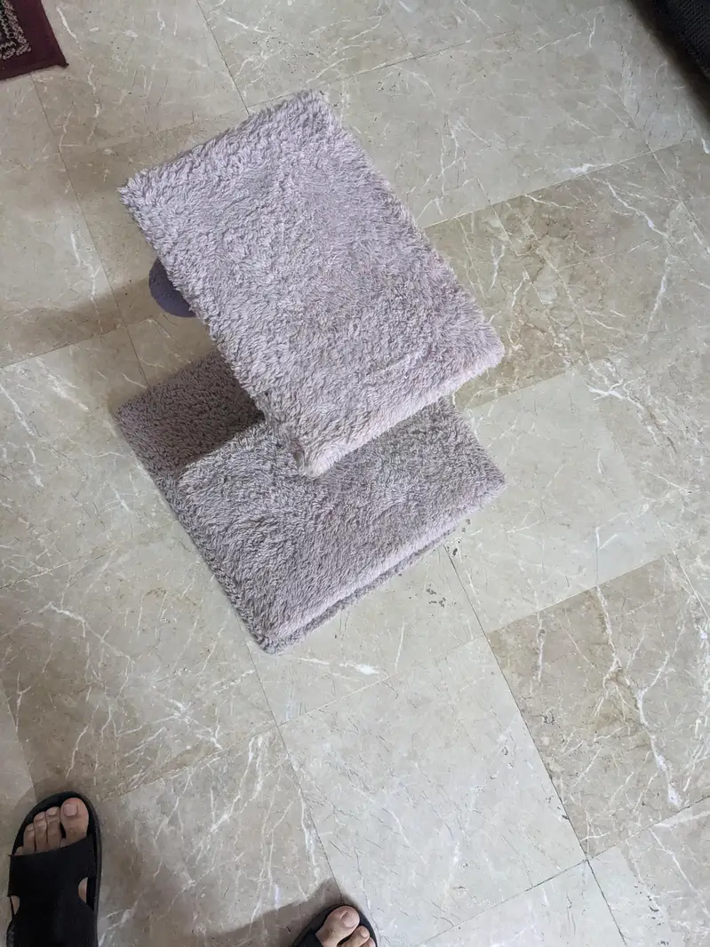 Cat tree, two litter box, feeding box, — photo 5