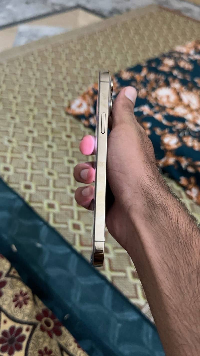 Apple iPhone 13 Pro Max 3