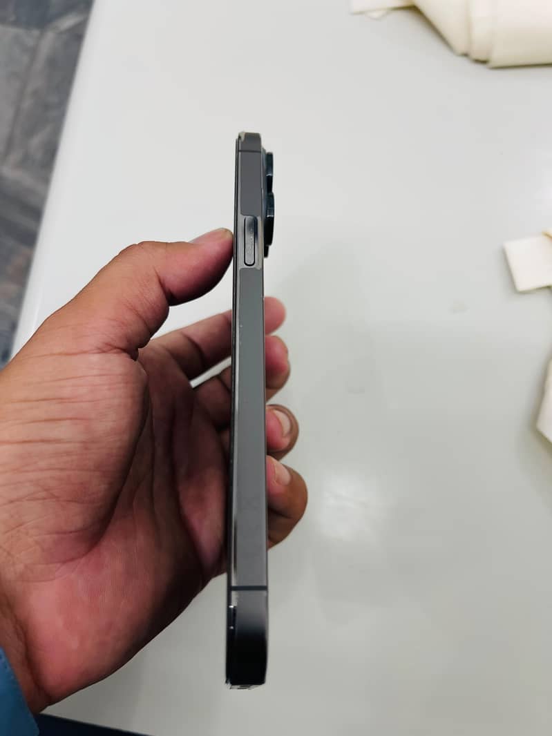 Apple iPhone 13 Pro Max 2