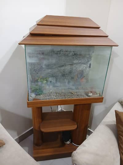 Fish Aquarium for Sale – Excellent Condition – Rs. 15,000