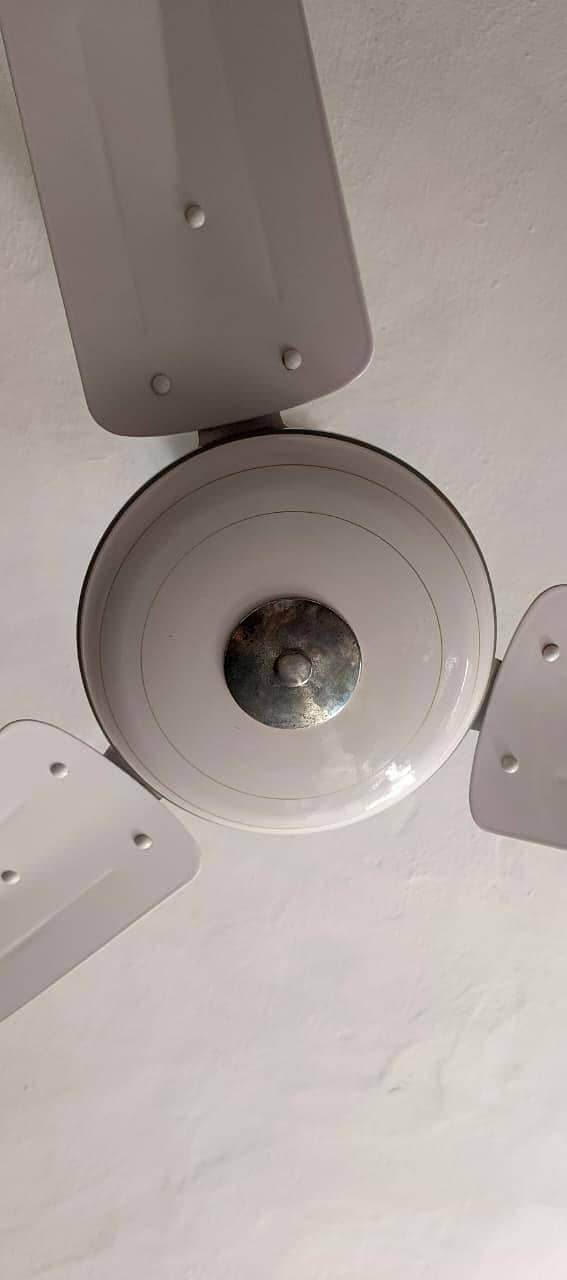 GFC CEILING FAN 0