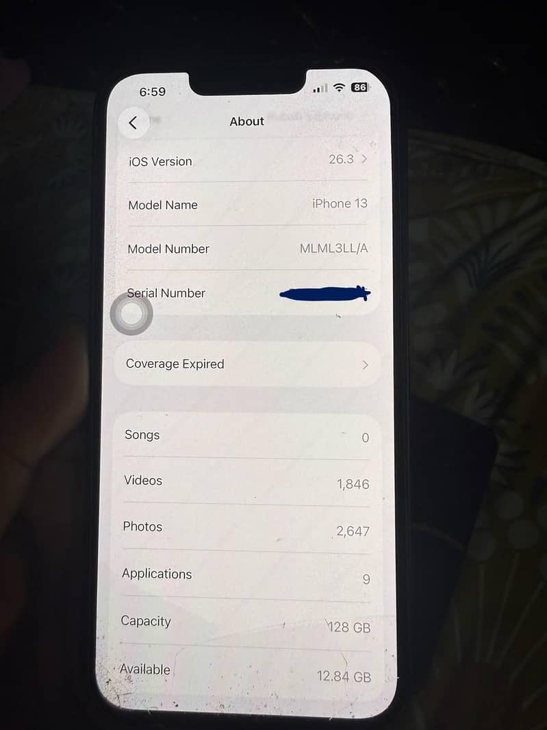 Apple iPhone 13 12