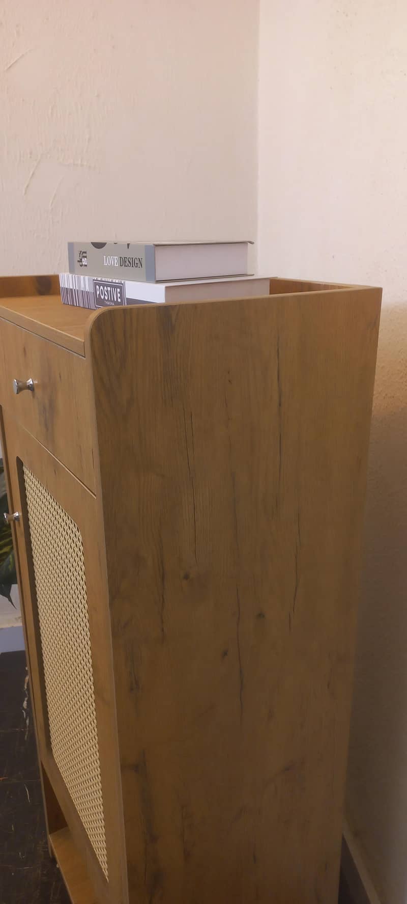 shoes rack 2
