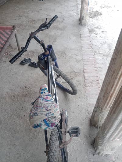 nice cycle