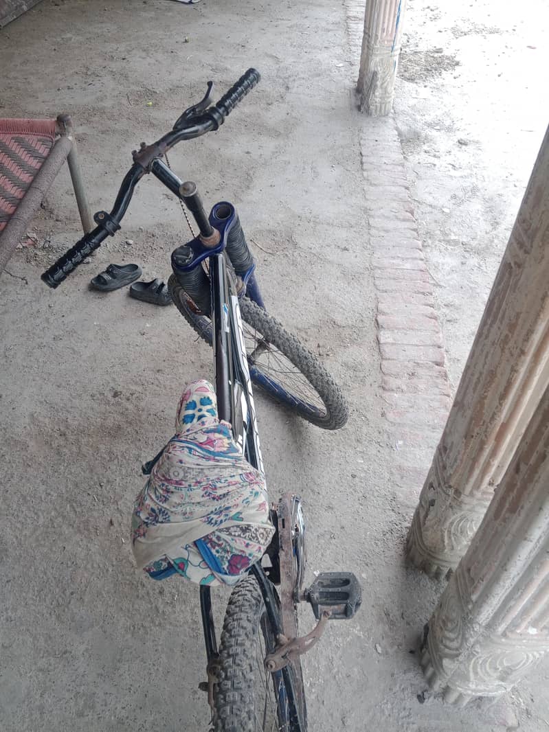 nice cycle 0