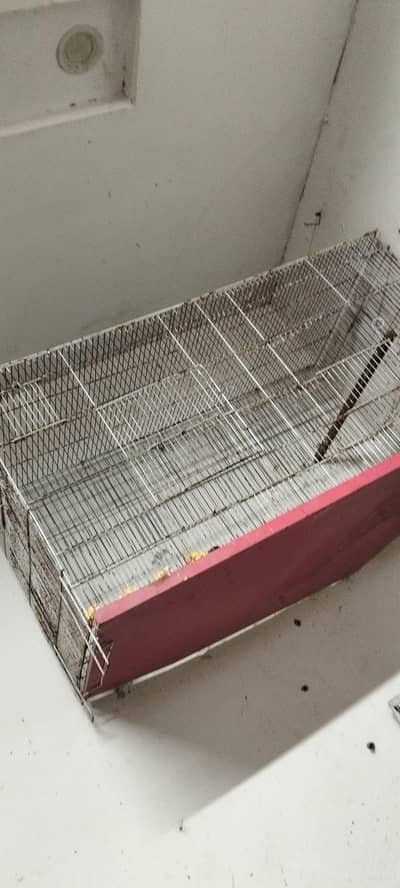 flight big cage