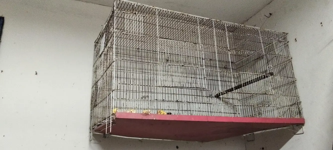 flight big cage — photo 2