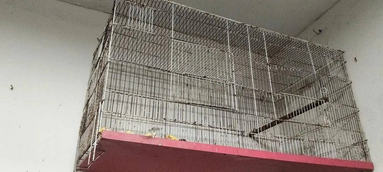 flight big cage — photo 3