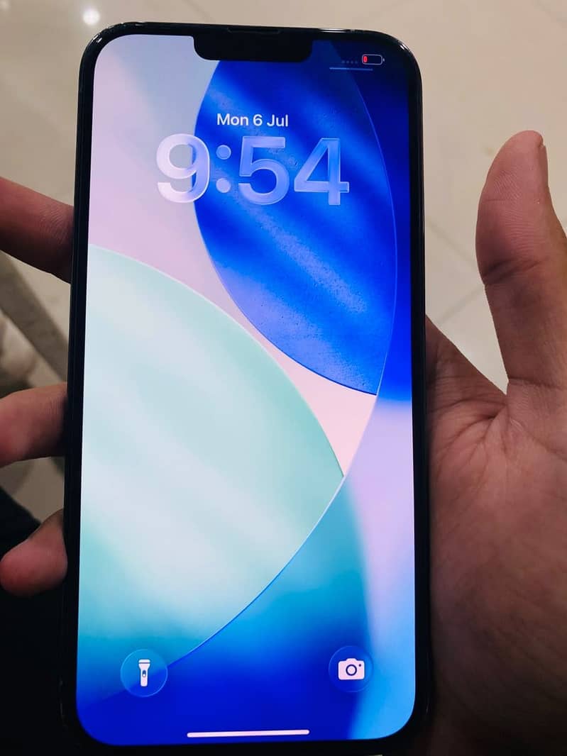 Apple iPhone 13 Pro Max 1