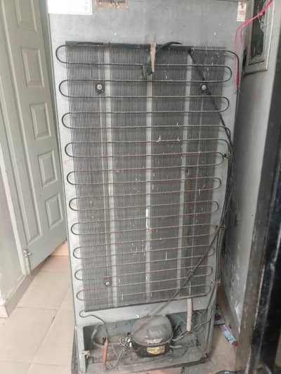 haier large size double door fridge