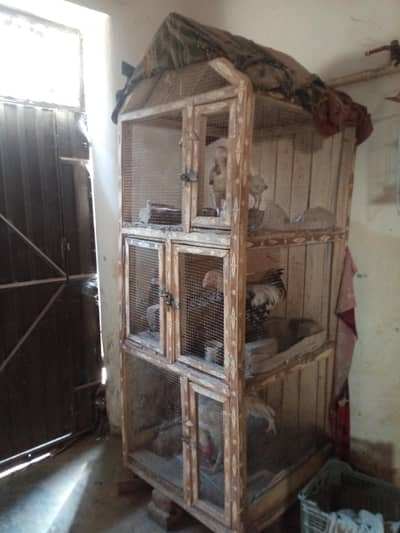 cage for sale with birds
