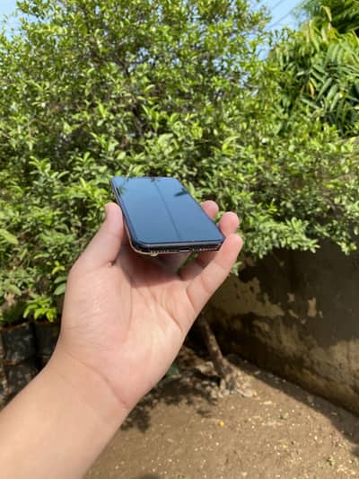 Apple iPhone X