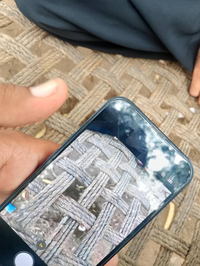 Apple iPhone 13 5