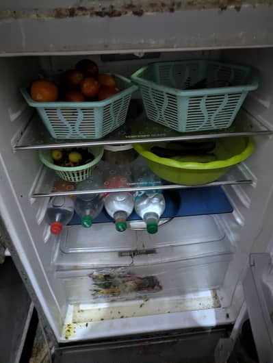 pel ka ful size refrigerator 70k