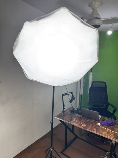 80cm Octa Softbox Complete Studio Light Setup + 4 Bulbs & Heavy Stand