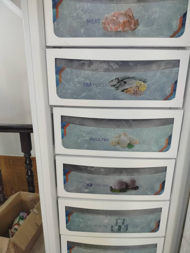 standing freezer 2
