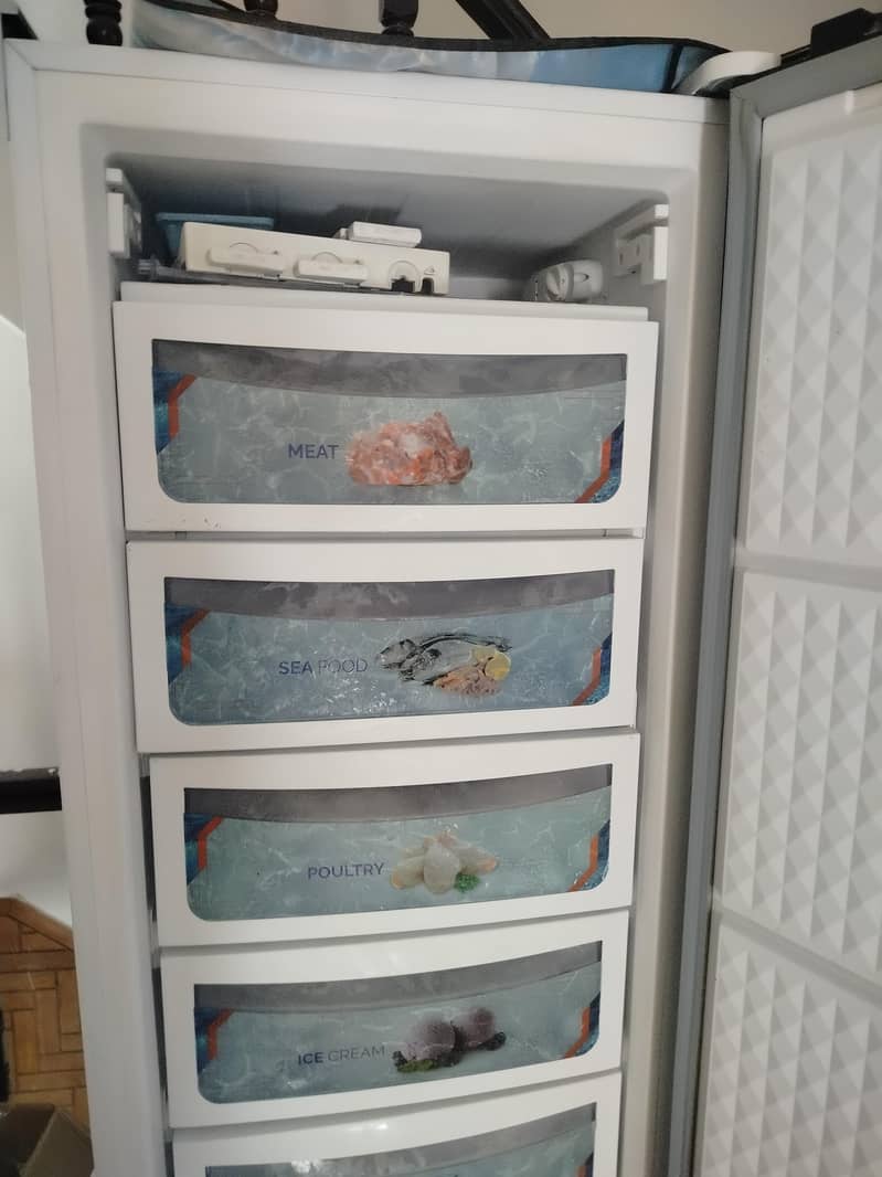 standing freezer 3