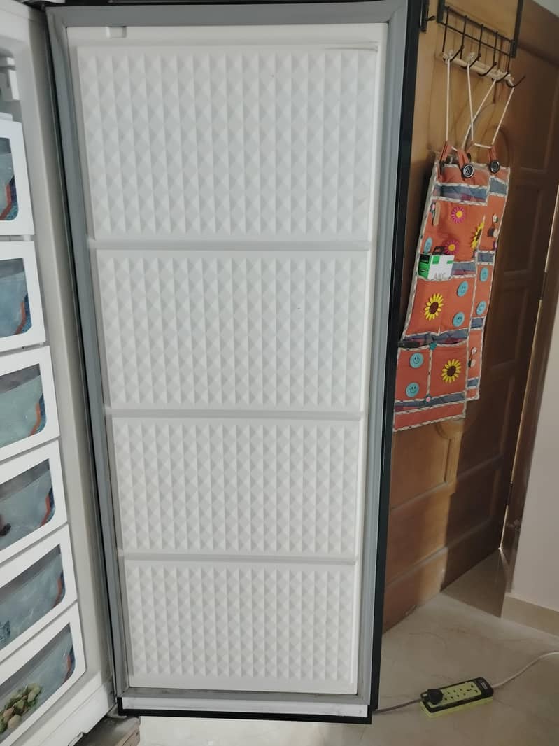 standing freezer 4