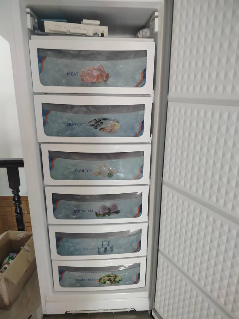 standing freezer 5