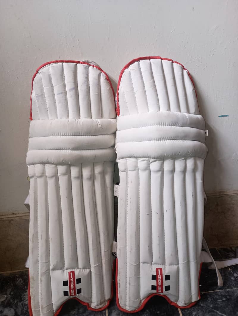 Cricket kit 2