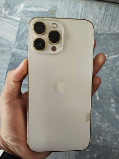 Apple iPhone 13 Pro Max