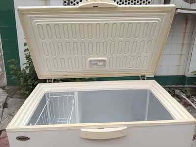 Waves freezer| Original Gas | Excellent Condition