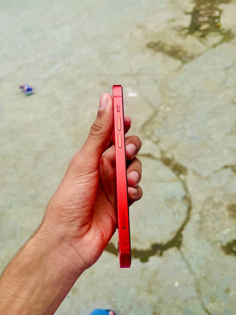 Apple iPhone 12 1