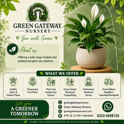 Nursery Plants